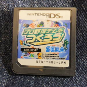DS送料一律100円　プロ野球チームをつくろう！ ソフトのみ