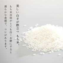 訳あり 新米 令和5年産 もち米 10kg 送料無料 山形県産 ヒメノモチ 精米無料 5kg×2袋 米 お米 20kg 30kg も販売中_画像5