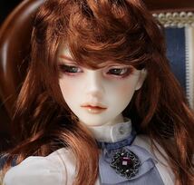 新品未開封 ボークス Volks ドルパ 50 ドールズパーティー SD Graffiti SDGr ウィリアムズ Super Dollfie Williams The Diligent Scholar_画像4