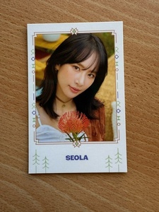 SEOLA（ソラ）　宇宙少女　WJSN　 2022 SEASON'S GREETINGS　ポラロイド　公式グッズ　K-POP　韓国