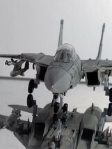 1/144　F-14B トムキャット　ディテールアップ完成品　エフトイズ　WKC　WTM_画像6