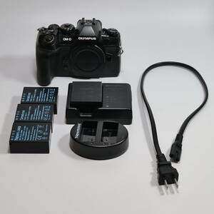 中古 実用品 OLYMPUS オリンパス O-MD E-M1 Mark II ボディ EM1 MK2 マーク2 シャッター数 約30000回