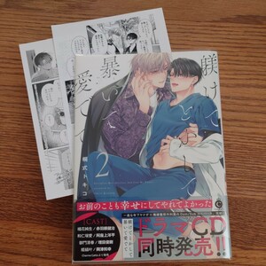 美品☆躾けてとかして暴いて愛でて 2/桐式トキコ/BL 漫画/アニメイト特典ペーパー 初回特典ペーパー☆薄い本なら4冊可能