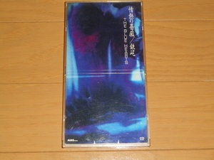 THE BLUE HEARTS(ザ・ブルーハーツ) 8cm CDS「情熱の薔薇/鉄砲」