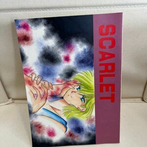 Z959 Captain Tsubasa журнал узкого круга литераторов редкий SCARLET 1989 год слива Цу ..