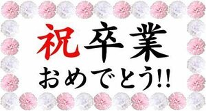 ビジネス初心者を完全卒業　ネットで収入を必ず安定させられる方法　知るだけで一億円の価値