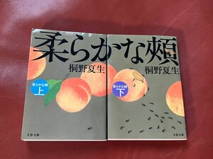 柔らかな頬　上下　文庫本　桐野夏生　