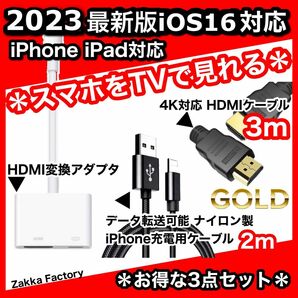 3点 3m iPhone iPad HDMI 変換アダプタ ケーブル テレビ スマホ iPhoneテレビ スマホテレビ