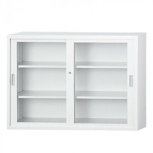 .. industry 43. type glass . door library TS-43G CN-85 color ( white gray )