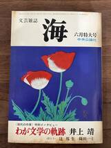 【送料180円】文芸雑誌 海 中央公論社 1976年6月号 井伏鱒二 武田泰淳 水上勉 辻邦生 今東光 井上靖 吉本隆明 加賀乙彦 柴山幹郎 島尾敏雄 _画像1