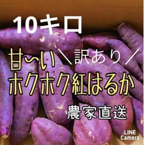 【送料無料/匿名配送】訳あり激安！！ 熊本県産 紅はるか 規格外品 10kg ②