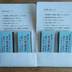 相鉄 切符タイプ 110枚 電車全線 株主優待 乗車証 送料無料 相模鉄道 相鉄ホールディングス 相鉄電鉄