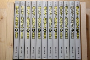 燃える！お兄さん　全12巻セット (集英社文庫―コミック版)