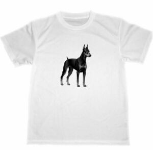 ドーベルマン　ドライ　Ｔシャツ　犬　グッズ　イラスト　doberman　dog dry T-shirt