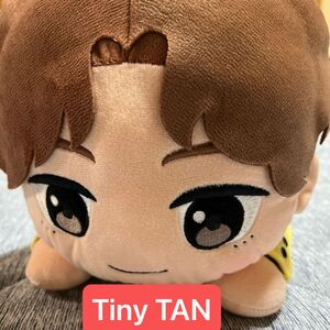 TinyTAN 寝そべり　メガジャンボぬいぐるみ　V BTS