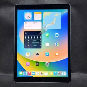 【送料無料】【訳あり】ネットワーク利用制限× iPad Pro 12.9インチ 第2世代 64GB スペースグレイ Wi-Fi+Cellularモデル