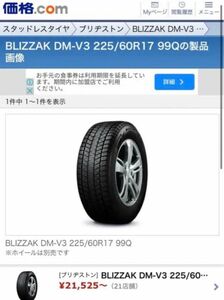 ブリヂストン BLIZZAK DM-V3 225/60R17 99Q