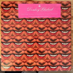【UK盤】Aphex Twin / Donkey Rhubarb 1995年　WARP RECORDS WAP63