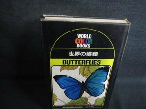 世界の蝶類BUTTERFLIES　シミ日焼け強/QCK