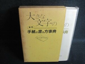 大きな文字の実用手紙の書き方事典　シミ大・日焼け強/RAI