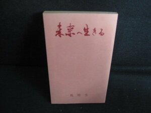 未来へ生きる-高校生- 　カバー無・シミ大・日焼け強/RAV