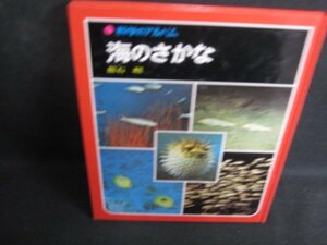 科学のアルバム海のさかなカバー無ページ割れ破れ大シミ日焼け強/RAZB