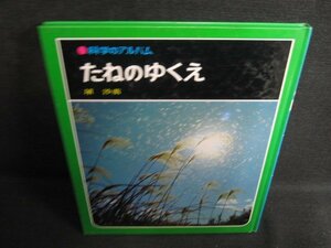 科学のアルバムたねのゆくえ カバー無ページ割れ有シミ日焼け強/RAZA