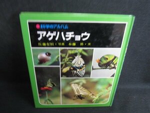 科学のアルバム　アゲハチョウ　カバー無・シミ大・日焼け強/RAZB