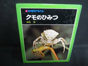 科学のアルバム　クモのひみつ　カバー無・シミ大・日焼け強/RAZA