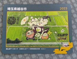 田んぼアートカード　棚田カード　埼玉県越谷市　2023 徳川家康ゆかりのまち