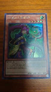 遊戯王OCG ジャンプフェスタ2024 プレミアムパック2024 PREMIUM PACK2024 シークレットレア　神聖なる魔術師