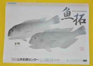 2024年 シマノカレンダー 「魚拓」　SHIMANO　壁掛けカレンダー（店名入り)　