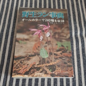 E5☆野生ラン事典☆オールカラーで240種を収録☆別冊　月刊さつき研究☆