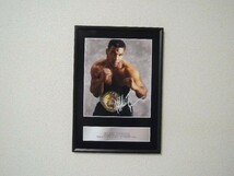 A4 額付き ポスター マイクタイソン Mike Tyson ベルト 写真 サインフォト 盾 ボクシング アート_画像5