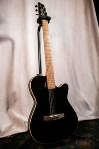 ♪Godin A6 ゴダン エレアコ ダブルチェンバードボディ ☆D 1218