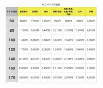 DAISYO ダイショー グリルパン 折り畳み フライパン 調理器具 料理道具 キャンプ バーベキュー BBQ アウトドア_画像10