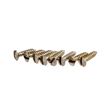 YJB PARTS Relic Screws レリックネジ (ミリ)Fタイプピックガード用(マイナス頭) (メール便のみ送料無料)_画像1