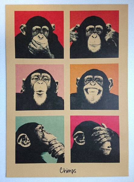Andy Warhol アンディ・ウォーホル チンパンジー ポスター