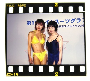 釈由美子＆由美かおる　ポジフィルム　４カット　写真　美品