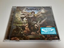 【初回限定盤CD＋DVD】(ケースツメ折れ有り)SOULFLY/ARCEANGEL　ソウルフライ/アークエンジェル_画像5