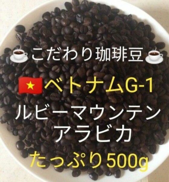 こだわり珈琲豆　ベトナムG-1 ルビーマウンテン　500g 中深煎り　自家焙煎珈琲　アラビカ　ニュークロップ　ウォッシュド