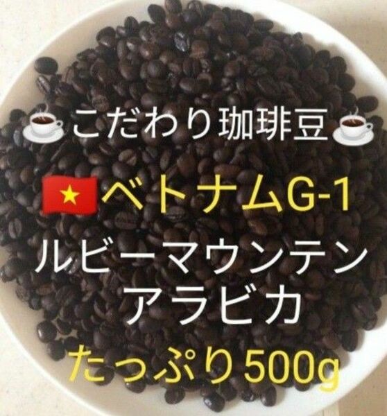 こだわり珈琲豆　ベトナムG-1 ルビーマウンテン　500g 中深煎り　自家焙煎珈琲　アラビカ　ニュークロップ　ウォッシュド