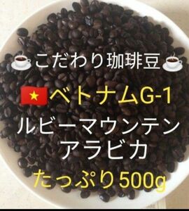 こだわり珈琲豆　ベトナムG-1 ルビーマウンテン　500g 中深煎り　自家焙煎珈琲　アラビカ　ニュークロップ　ウォッシュド