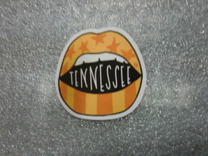 NFLtenesi- Titan zTENNESSEE. sticker waterproof seal 