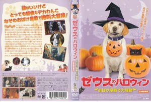 【値下げ】1035 ケース無し ゼウスのハロウィン おばけ屋敷で大騒動 ディーン・ケイン ※他にも多数出品中 ※10枚まで同梱可能250円