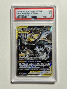 PSA5 ピカチュウ&ゼクロムGX SR SA タッグボルト 