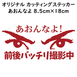 ステッカー あおんなよ 前後バッチリ撮影中 レッド 縦8.5ｃｍ×横18ｃｍ パロディステッカー ドラレコ ドライブレコーダー