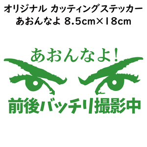 ステッカー あおんなよ 前後バッチリ撮影中 ライトグリーン 縦8.5ｃｍ×横18ｃｍ パロディステッカー ドラレコ ドライブレコーダー