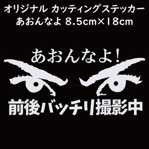 ステッカー あおんなよ 前後バッチリ撮影中 ホワイト 縦8.5ｃｍ×横18ｃｍ パロディステッカー ドラレコ ドライブレコーダー