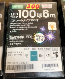 ⑨EDイルミネーションライト　100球6m　コントローラー付き　発光色　白